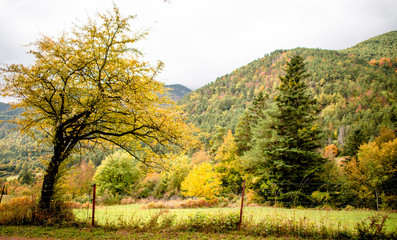 Hiking in the Pyrenees in Spain in Autumn. 