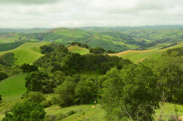 California Central Coast