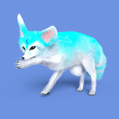 Obraz premium フェネック