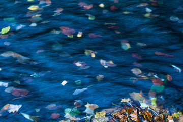 Fototapeta na wymiar Herbstlaub im Wasser