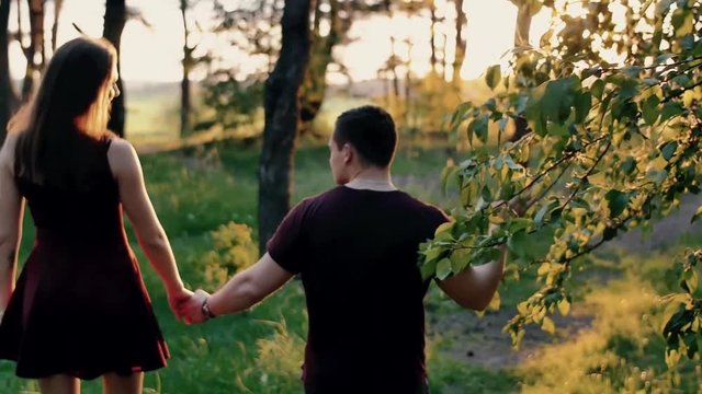 Back view of a happy couple walking in the forest holding hands at the sunset. Slow mo, steadicam shot