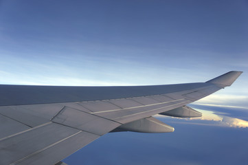 Fototapeta premium wing with cloud.