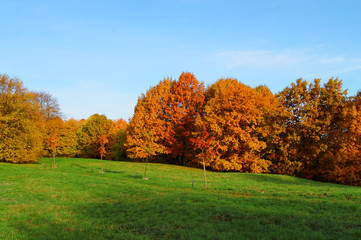 autumnal landscape