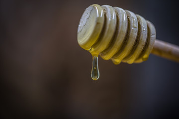 wooden spoon for honey