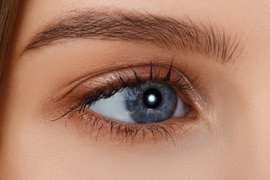 Eye makeup. Beautiful eyes make-up. Holiday makeup detail. Long eyelashes. Close-up shot of female eye make-up in smoky eyes style