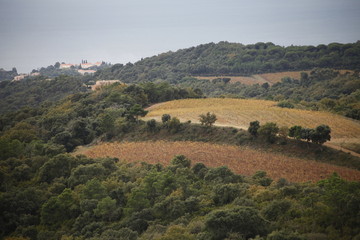 Naklejka premium Hills