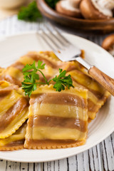 Mushroom Cheese Ravioli. Selective and soft focus.