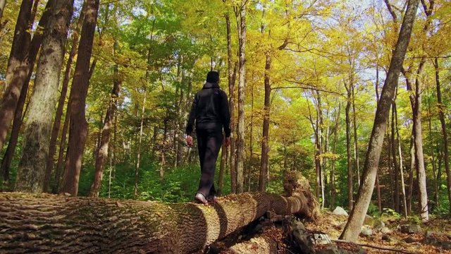 Teenager Walking On Log Slow Motion 4K