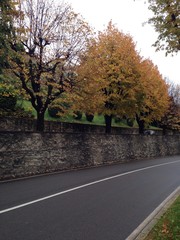 autumn road bergamo italy
