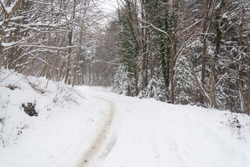 Winter Snowing in Plitvice Lakes National Park