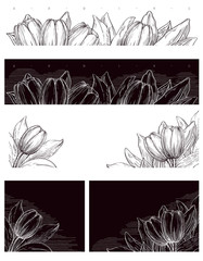 Set of Spring flowers. Vector banners  of  tulips with many leaves at black and white engraving style.