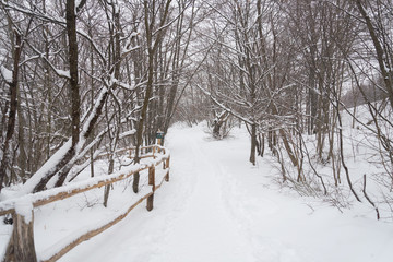 Naklejka premium Winter Snowing in Plitvice Lakes National Park