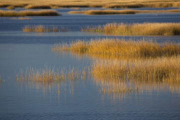 Warm glow of sunset on marsh at Milford Point, Connecticut.