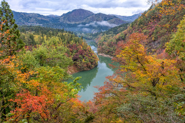 Fototapeta na wymiar Tadami river and bridge in autumn season, Fukushima, Japan