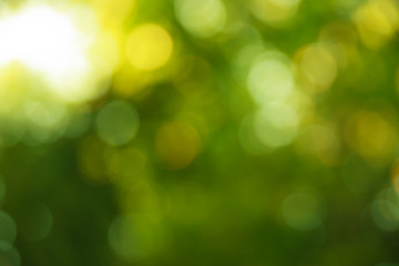 Natural green background.