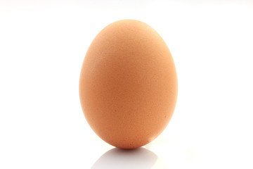 Egg Isolated on white background