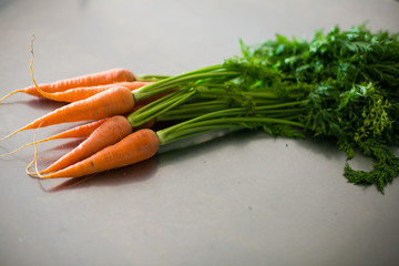  Carrot