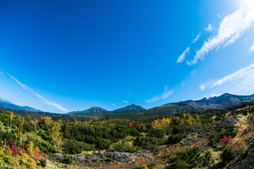 美瑛　望岳台からの十勝連峰　