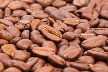 coffee  bean  on white paper  background