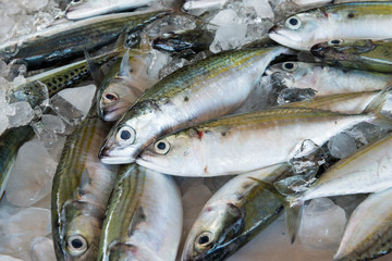 Obraz premium Fresh fishes in a market local market