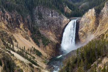 Lower Falls of Yellowstone