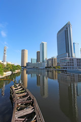 Fototapeta na wymiar Partial skyline of Tampa, Florida vertical