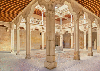 SALAMANCA, SPAIN, APRIL - 17, 2016: The atrium Casa de las Conchas - House of Shells