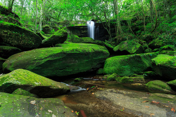 The landscape photo, beautiful rainforest waterfall in deep forest at Phu Kradueng National Park in Thailand