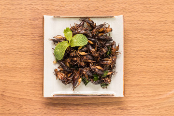 Food insect