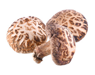 Dried shiitake mushrooms