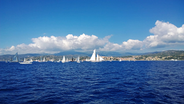 Many yachts float in the sea 