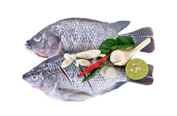 Gutted, scaled and sliced Nile Tilapia fish with herbs on white