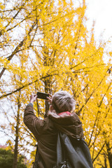 Male tourist holding smartphone taking photo of ginkgo leaf in a