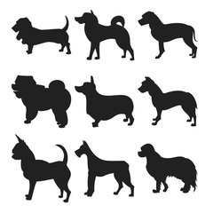 Dog Silhouettes. EPS 8 vector, grouped for easy editing. No open shapes or paths.  breeds, veterinary,  walking, pet sitting logo inspiration.  show, competition,  store, guide 