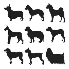 Set of dogs silhouette