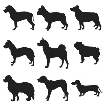 Set of dogs black silhouette
