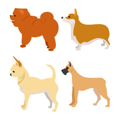 Set of purebred dogs