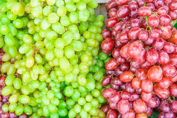 Red wine grapes on the market