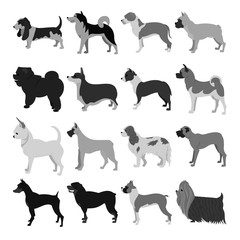 Set of dog breeds