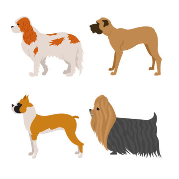 Set of purebred dogs