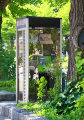 Public telephone of the park