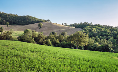 Fototapeta na wymiar Rural landscape in Tuscany Italian