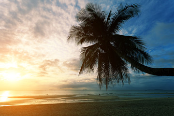 Fototapeta na wymiar Silhouette coconut palm tree on the beach during sunrise time (vintage filter) 