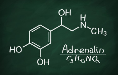 Structural model of Adrenalin