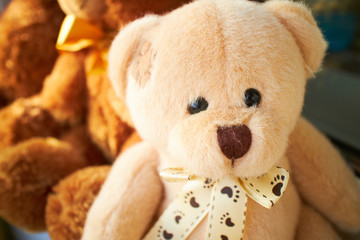  teddy bears on the window