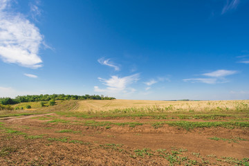 Fototapeta na wymiar Country road through the field, background