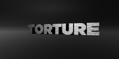 TORTURE - hammered metal finish text on black studio - 3D rendered royalty free stock photo. This image can be used for an online website banner ad or a print postcard.