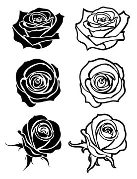 Close up rose vector tattoo, logos, floral silhouettes