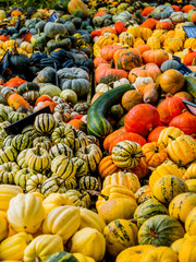 squashes at market