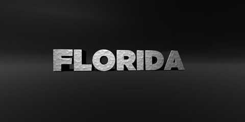 FLORIDA - hammered metal finish text on black studio - 3D rendered royalty free stock photo. This image can be used for an online website banner ad or a print postcard.